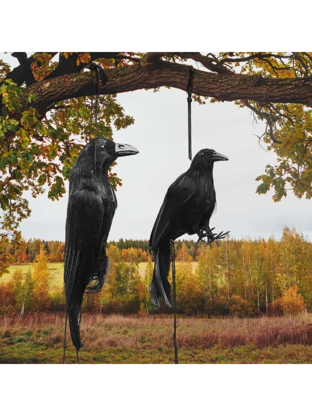 Realistic Life-Size Black Crow Decoys - 2 Pcs 17" & 12" Hanging Garden Decor